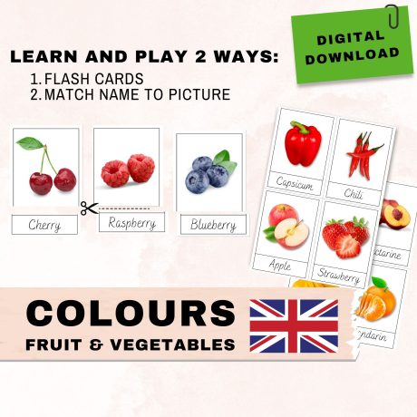 ENGLISH – MONTESSORI FLASH CARDS (3)