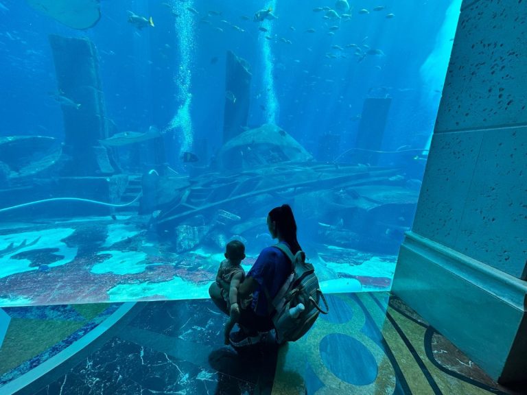 Everything You Need to Know About Visiting Dubai With An Infant During the Summer Months
